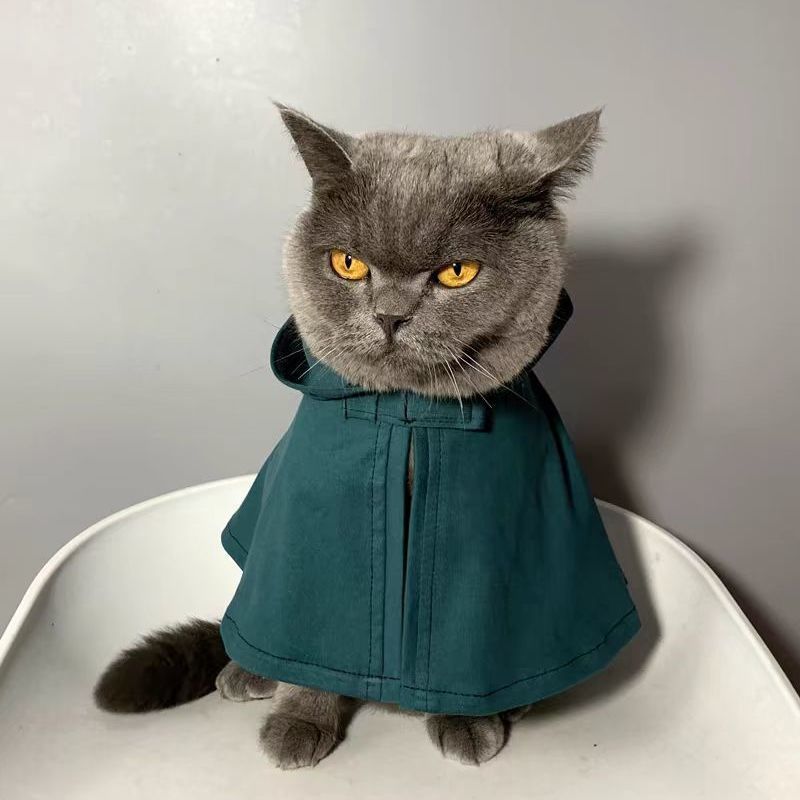 Dog Cloak Cat Cloak Anime Hall - огляд і ціна Attack Titan Cloak
