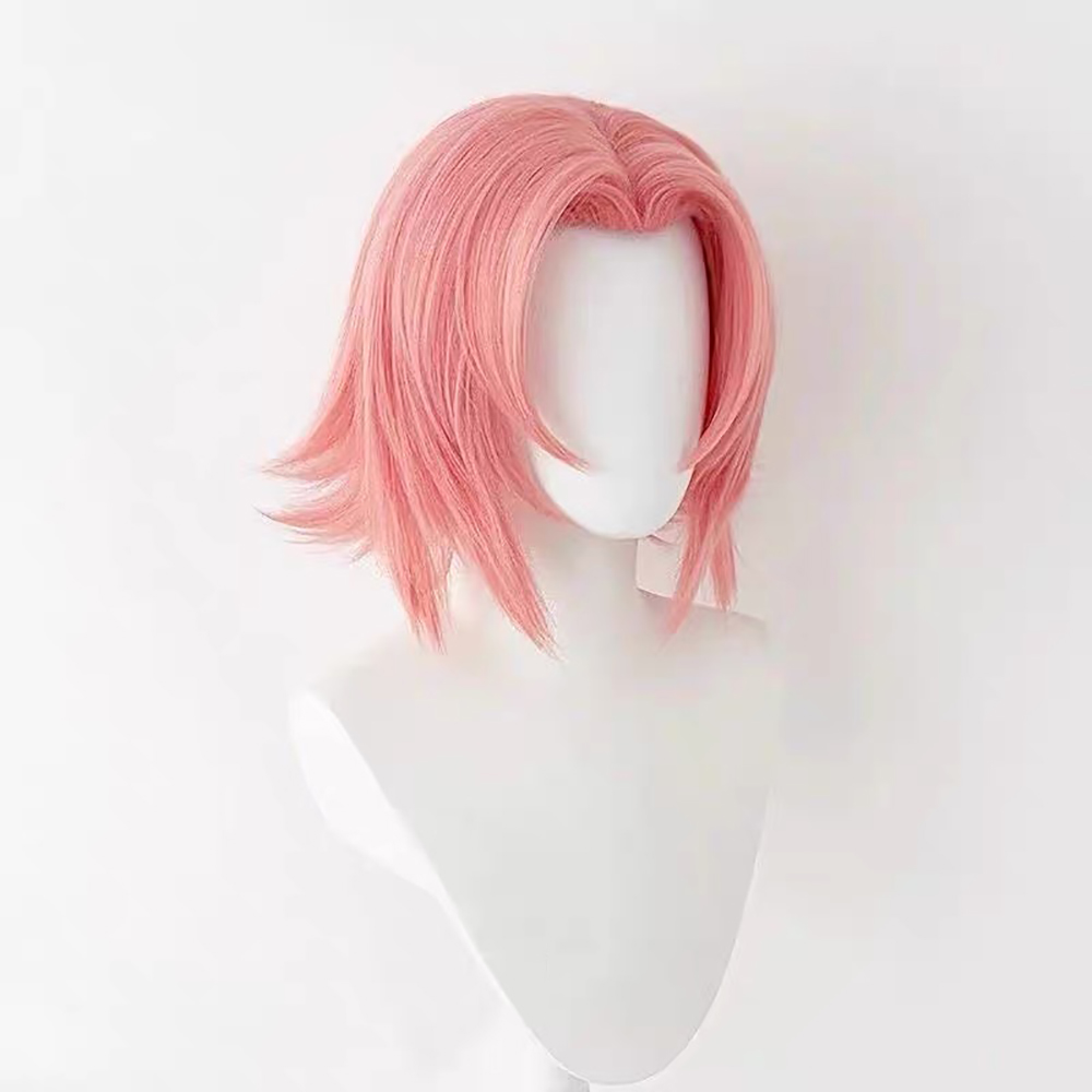 HAIRJOY Synthetic Hair Wig  Pi - огляд і ціна Anime Cosplay Easy